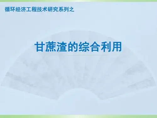 甘蔗渣的综合利用-PPT精品文档