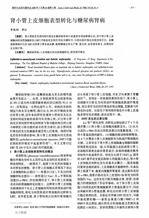 肾小管上皮细胞表型转化与糖尿病肾病
