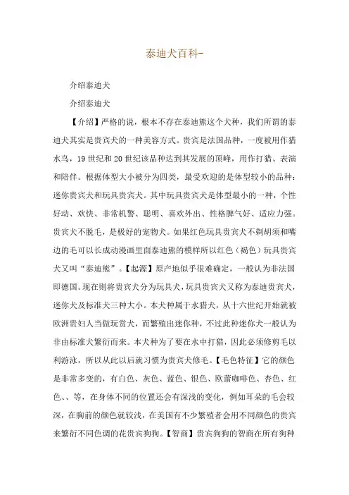 泰迪犬百科--介绍泰迪犬