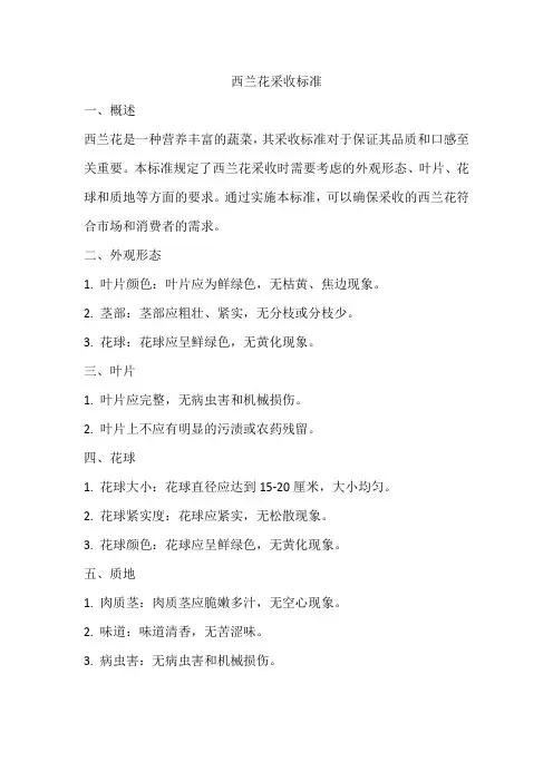 西兰花采收标准