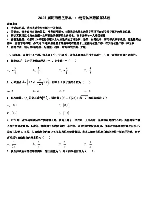 2025届湖南省岳阳县一中高考仿真卷数学试题含解析