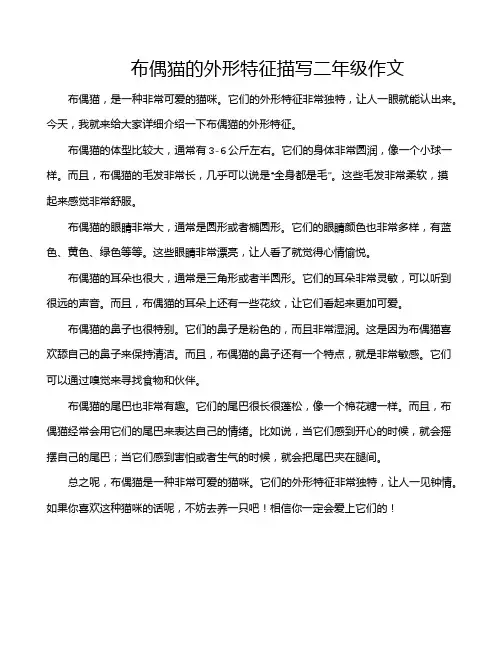布偶猫的外形特征描写二年级作文