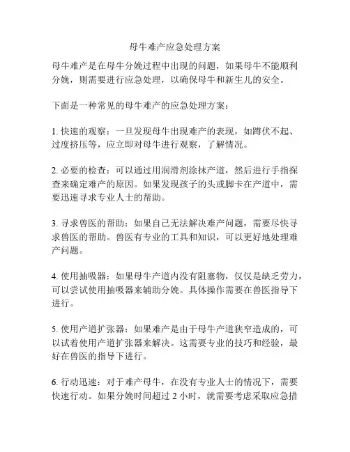 母牛难产应急处理方案