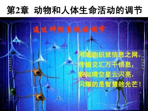 2-1通过神经系统的调节(上课)