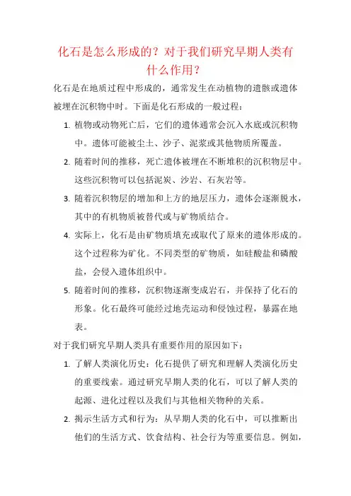 化石是怎么形成的？对于我们研究早期人类有什么作用？