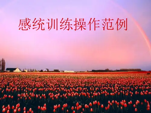 感统训练操作范例