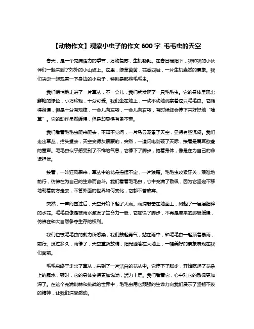 【动物作文】观察小虫子的作文600字 毛毛虫的天空