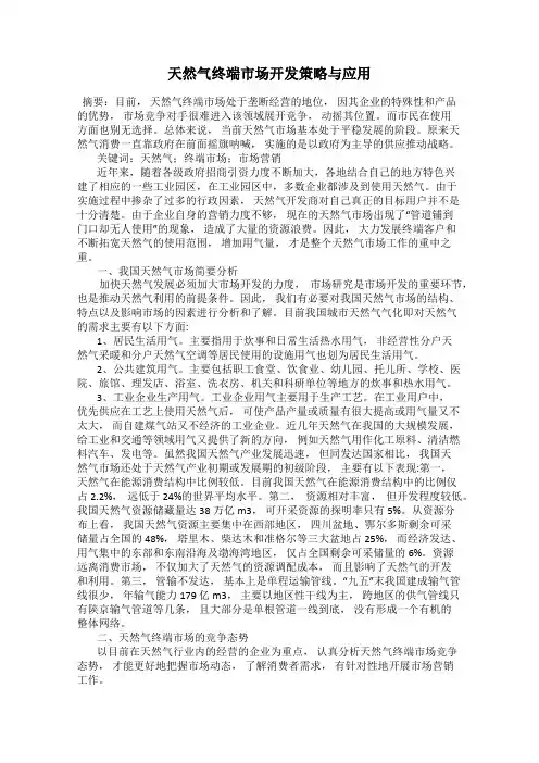 天然气终端市场开发策略与应用