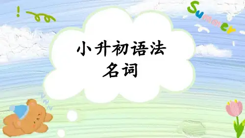 小升初语法-名词PPT