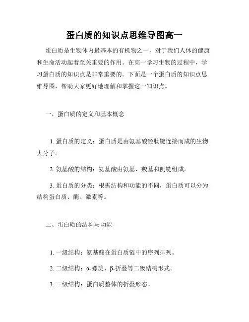 蛋白质的知识点思维导图高一