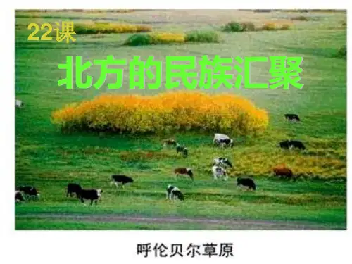 七上第22课《北方的民族汇聚》