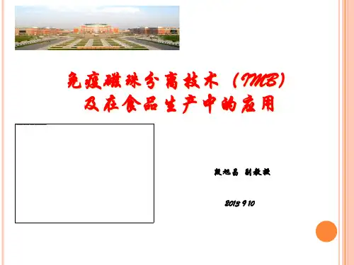 段旭昌免疫磁珠分离技术(IMB)及在食品生产中的应用