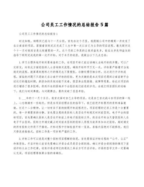 公司员工工作情况的总结报告5篇
