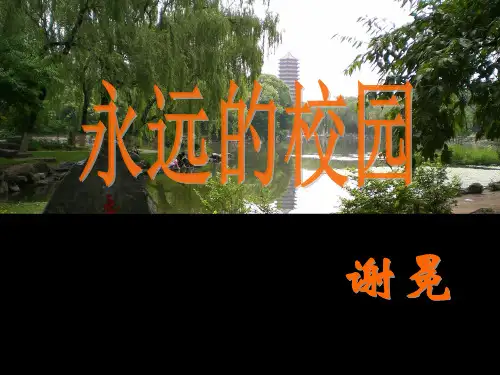 永远的校园 超全版
