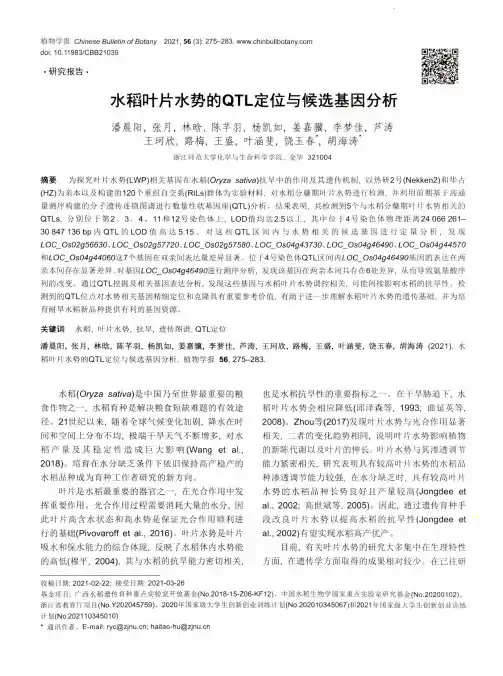 水稻叶片水势的QTL定位与候选基因分析