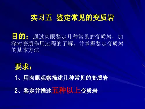 综合地质学 变质岩