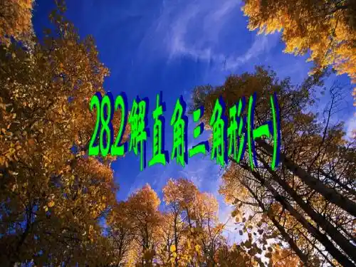 解直角三角形(一)