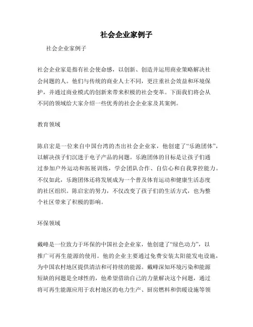 社会企业家例子