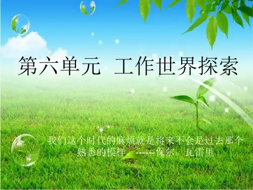 职业生涯规划——工作世界的探索