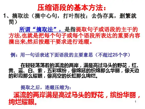 压缩语段方法新题 ppt课件