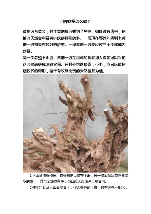 荆棵盆景怎么做？