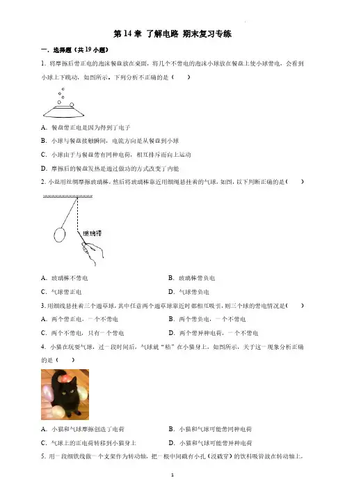 第14章 了解电路-期末复习专练-沪科版物理九年级