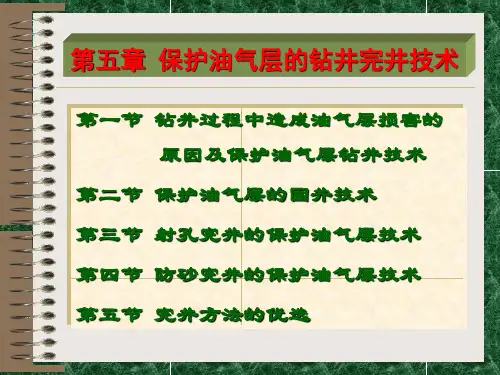 保护油气层技术 第五章  保护油气层的钻井完井技术