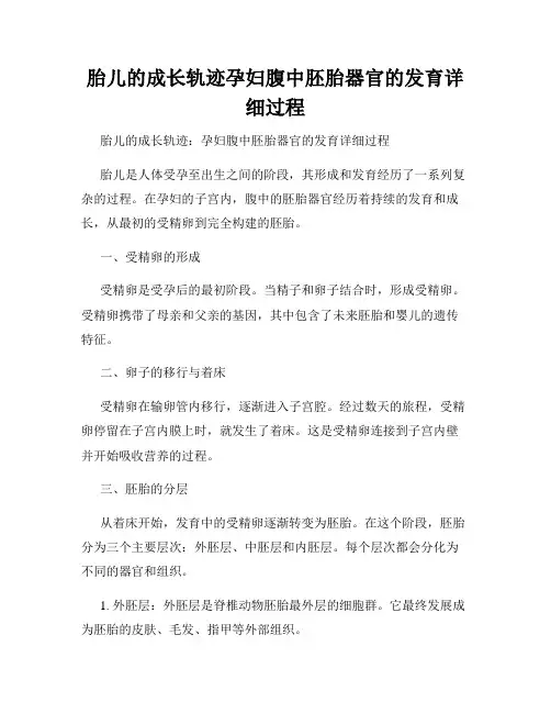 胎儿的成长轨迹孕妇腹中胚胎器官的发育详细过程