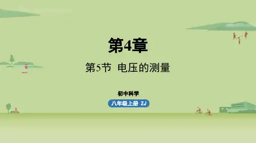 第4章电路探秘第5节电压的测量-2024-2025学年八年级上册科学(浙教版)上课课件