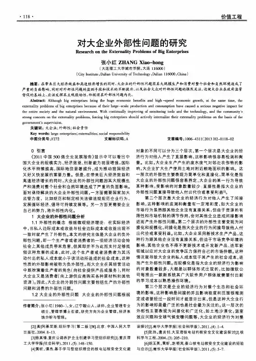 对大企业外部性问题的研究
