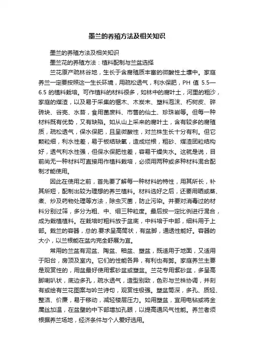 墨兰的养殖方法及相关知识