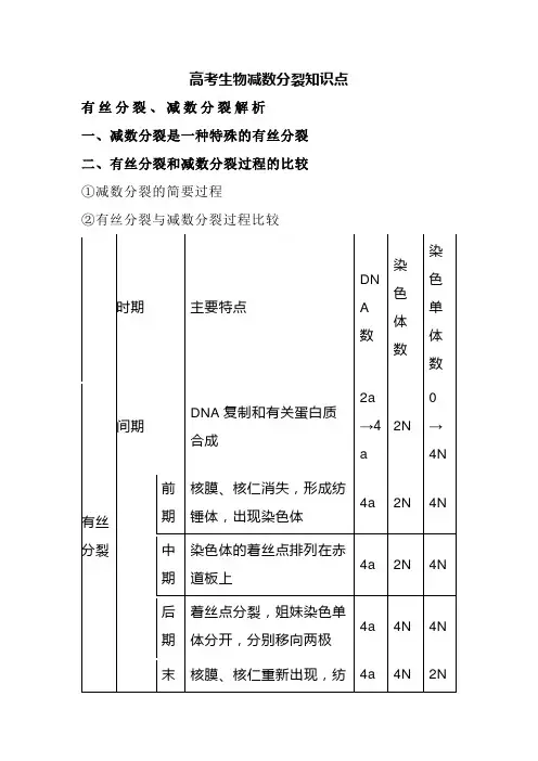 高考生物减数分裂知识点