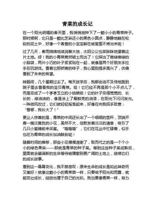 用青菜的幼苗长大了以后的样子写一篇作文