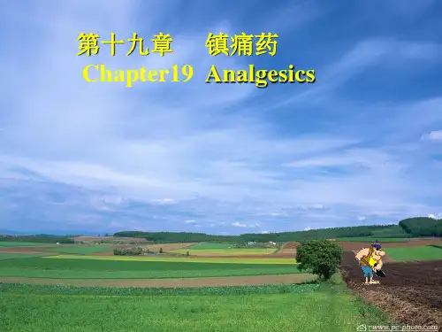 19章 镇痛药(4)