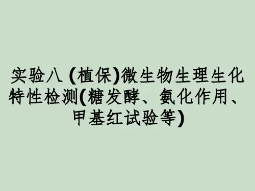 实验八 (植保)微生物生理生化特性检测(糖发酵、氨化作用、甲基红试验等)