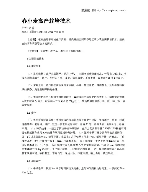 春小麦高产栽培技术