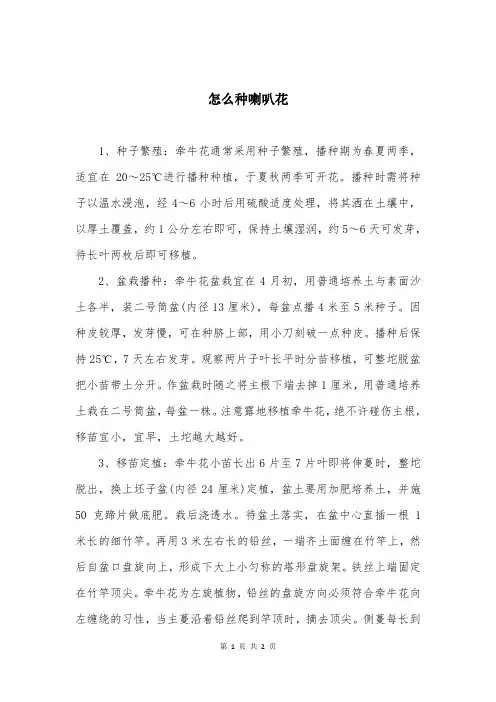 怎么种喇叭花