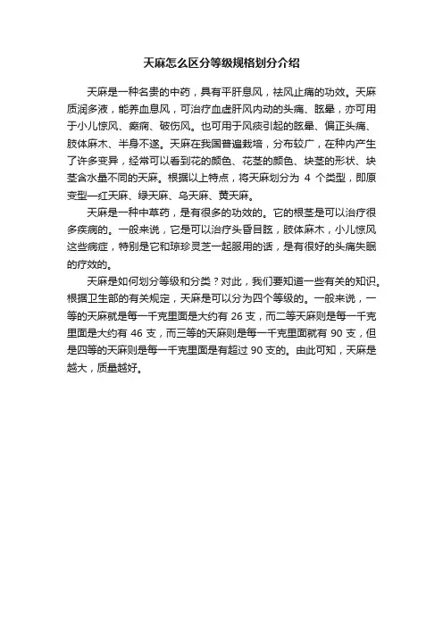 天麻怎么区分等级规格划分介绍