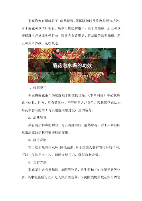 菊花泡水喝的功效
