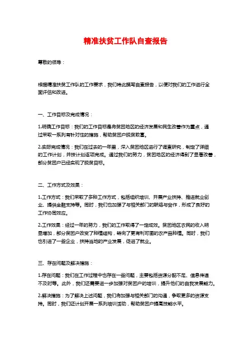 精准扶贫工作队自查报告 (2)