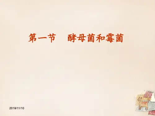 冀教版初二上册生物5.2第1节酵母菌和霉菌PPT课件(1)