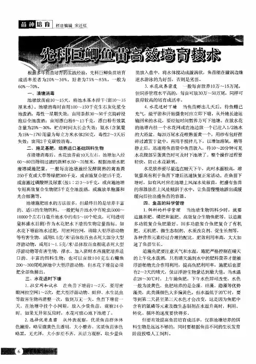 先科巨鲫鱼苗高效培育技术
