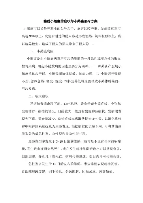 雏鹅小鹅瘟发病原因与小鹅瘟治疗方案