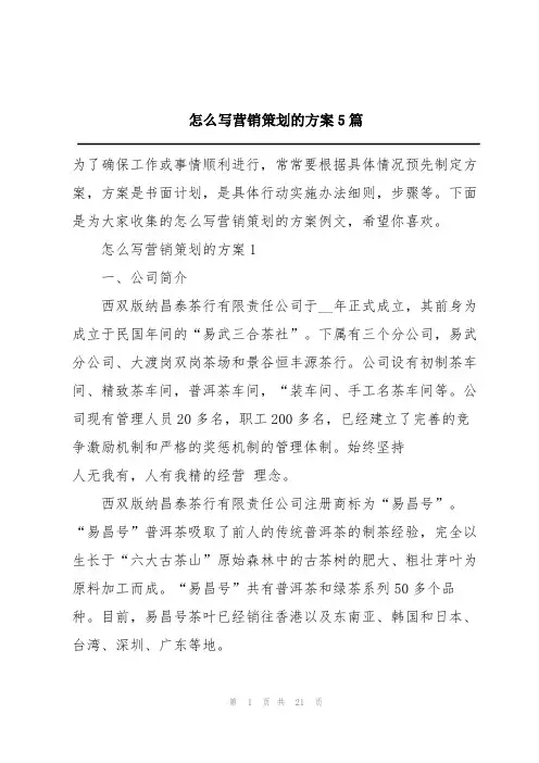 怎么写营销策划的方案5篇