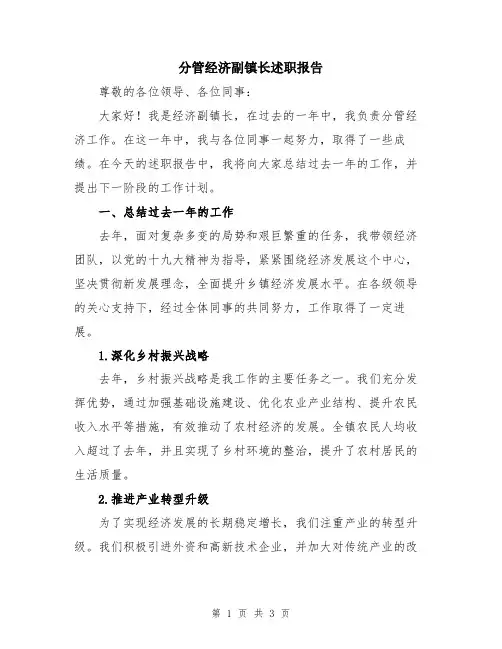 分管经济副镇长述职报告