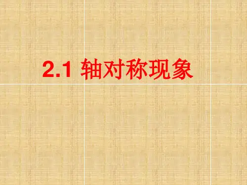 轴对称现象(共25张PPT)