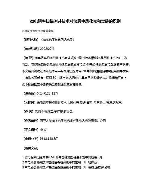 微电阻率扫描测井技术对储层中风化壳和裂缝的识别