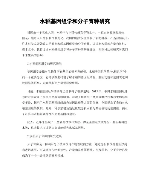 水稻基因组学和分子育种研究