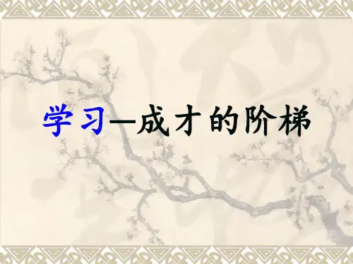 学习成长的阶梯