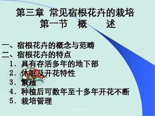常见宿根花卉